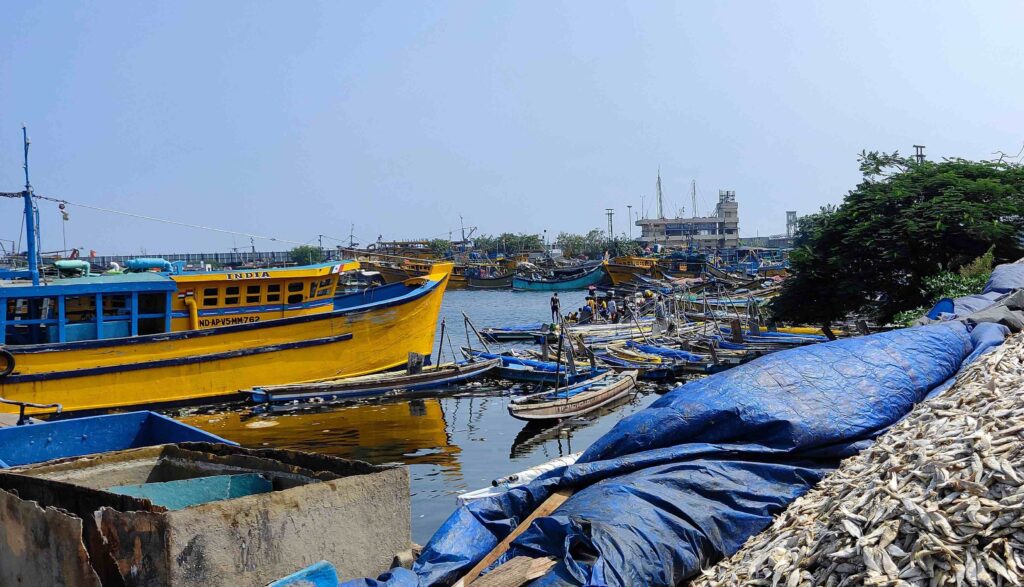 Vizag Fishing Harbour